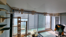 캣워커 고양이 벽타워 선반 숨숨집 구름다리 원목 놀이터 인테리어 용인 아파트 거실 패키지 : 플레이캣