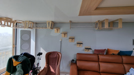 캣워커 고양이 벽타워 선반 숨숨집 구름다리 원목 놀이터 인테리어 용인 아파트 거실 패키지 : 플레이캣