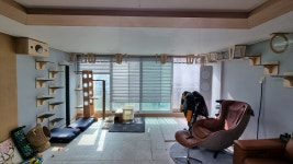 캣워커 고양이 벽타워 선반 숨숨집 구름다리 원목 놀이터 인테리어 용인 아파트 거실 패키지 : 플레이캣