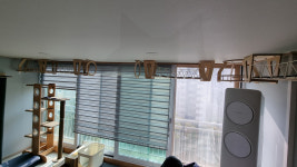 캣워커 고양이 벽타워 선반 숨숨집 구름다리 원목 놀이터 인테리어 용인 아파트 거실 패키지 : 플레이캣