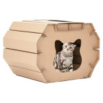 펫데이즈 필라인하우스 - 네코 : 캣독09