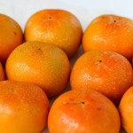 달콤하고 아삭한 진영 단감 S M L 2L 5kg 10kg /25년햇과 : 푸드맛봄