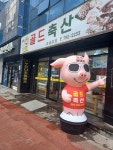 골드축산 제주 흑돼지 목살 500g : 제주도골드축산
