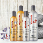 아이덴 비 프로폴리스 두피샴푸세트 총740미리 슈퍼이벤트 [정식몰]지루성두피염샴푸 지성두피 약산성 대용량 정수리냄새 : 하로시 케어