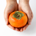 달콤하고 아삭한 진영 단감 S M L 2L 5kg 10kg /25년햇과 : 푸드맛봄