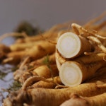 LIVE 풍기인삼시장 수삼(믹사,소,중,대) 750g 이상 : 국제인삼사