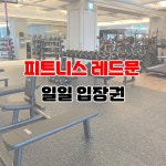 일일입장권 : 피트니스 레드문