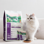 무료샘플 웰썸 고양이 곤충사료 40g x2개 그레인프리 고양이 관절 눈물 동애등에 사료 : WELLSOME - 웰썸