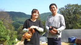 청란 농장주 직접 판매 청계란 청계알 40란 : 숲속청계농장