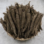 제주 산지직송 햇더덕 생더덕 흙더덕 더덕 1kg 2kg : 푸드아띠