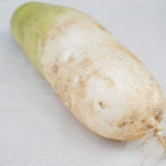 [마포구 배달] 신선한 무 1개 [월드컵 소문난상회] : 동네시장 장보기