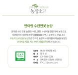 연꽃 수련 : 연이랑 수련연꽃 치유농장