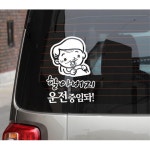 할아버지 안전 양보 운전 자동차 스티커 반사지 안내 드레스업 외장 문구 : 헬시팟