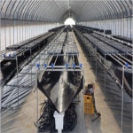 상인농자재 고급천막지 비닐하우스 결로 식물재배 450g 물받이 : 한번만 사줘