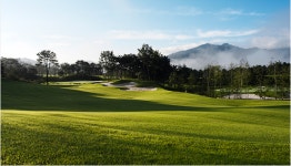 (강원도-알프스대영-cc) 알프스대영cc 1박2일골프패키지 : 세이브투어- 황수진차장