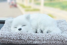 자동차 차량용 냄새 제거 탈취제 심쿵펫 잠자는 강아지 허스키 리트리버 제습 탈취 인형 : 오와이엘