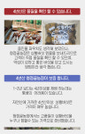 청정골농장 4년산상황버섯 프리미엄세트 3-1호 (최고급 장수상황버섯 300g) 2TV 생생정보방영 : 청정골 농장