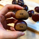 충주 햇밤 소태밤 농장 옥광 이평 석추 알밤 1kg : The화사