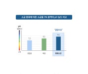 명품소금 태초솔트 SBS 생활의달인 용융소금 미네랄 플러스 닥터한스 500g, 2개 : 닥터한스