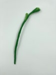 SPROUT_GREEN : 꽁떼르씨엘