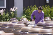 효정 된장 선물세트 (된장 450g 2개 + 간장 500ml) : 효정전통농원