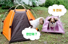 개 편한 강아지 길고양이 반려동물 캠핑 텐트 집 숨숨집 : 펀코라이프