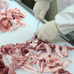 국내산 돼지고기 김해 뒷고기 500g 1kg 특수부위 모듬 뒷통 목항정살 뽈살 눈살 돼지혀 캠핑 펜션고기 : 드피그