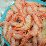 [구룡포읍 배달] 감칠맛나는 새우 1바구니 [구룡포시장 경주수산] : 동네시장 장보기