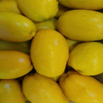 가마실농장 향긋한 청도모과 5kg 3kg : 가마실농장