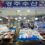 [구룡포읍 배달] 쫄깃한 생아구 1마리 [구룡포시장 경주수산] : 동네시장 장보기