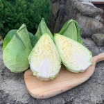 제주 아리다온 꼬깔양배추 3kg : 아리다온