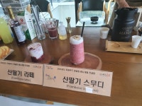 농장직송 GAP인증 포항 산딸기 냉동과(실속포장) : 산딸기백화점