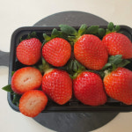 뚜뚜농장 딸기 하우스 설향 킹스베리 금실 생딸기 고령 논산 의성 경북 : 뚜뚜농장