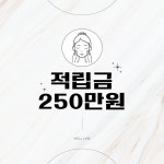 [웰라인페이테스] 250만원 프로그램 : 웰라인