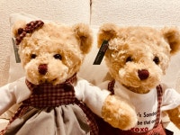 상아테크 체크테디 : 인형창고