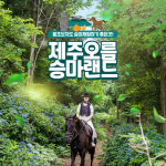 제주 오름승마랜드 / 제주도 말타기 체험 액티비티 : WEPICK