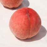 이례복숭아농장 조치원 복숭아 황도 백도 딱딱 말랑 4.5kg : 이례복숭아농장