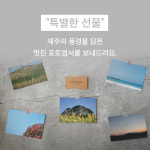 [문사기름집] 100% 식물성 곰탕 제주 채식 비건 채수 국 국물 선물 이유식 어린이 : 제주로부터