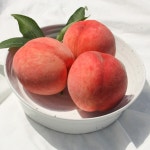 이례복숭아농장 조치원 복숭아 황도 백도 딱딱 말랑 4.5kg : 이례복숭아농장