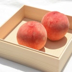 이례복숭아농장 조치원 복숭아 황도 백도 딱딱 말랑 4.5kg : 이례복숭아농장