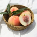 이례복숭아농장 조치원 복숭아 황도 백도 딱딱 말랑 4.5kg : 이례복숭아농장