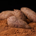 국내산 해남 고구마 하루까 베니하루카 꿀밤 꿀고구마 중상 3kg 5kg 10kg : 맛있는 제철과일