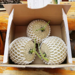 덕산기농장 달콤한 메론 2수 3수 4수 6kg 명품 고당도 달콤한 후숙과일 : 덕산기농장
