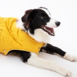 퍼피갤러리 루루 힙 커버 패딩[범블비 옐로우] : 오베비