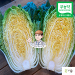 [무농약] 장흥슬로푸드농부 황금배추 2포기 : 장흥슬로푸드농장