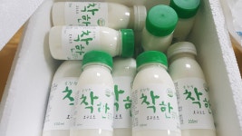 [벧엘목장] 플레인 요거트, 수제 요구르트 500ml : 벧엘목장