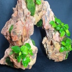 판매완료 물숲터널 : 물숲