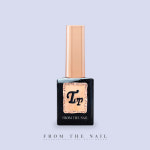 FROM THE NAIL 프롬더네일 슈가 탑젤 10g : 셀프네일아트
