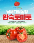 GAP인증 남해다담농장 유럽종 대추방울 토마토 2kg 3kg (특상품) : 남해다담농장