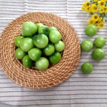 [무농약] 순자네 친환경 가바농법 친환경 풋토마토 3kg 그린토마토 피클토마토 (당일수확),,GABA 함유 : 순자네농장-